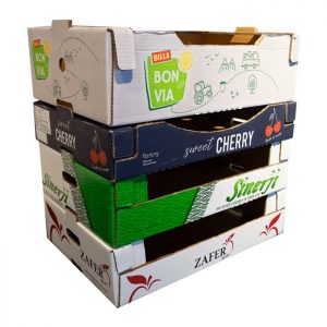 FOOD BOXES